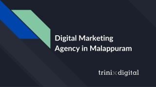 Digital Marketing Agency in Malappuram, Edappal