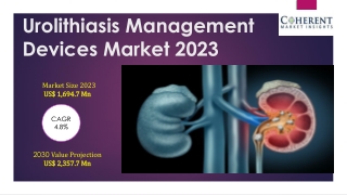 Urolithiasis Management Devices Market to See Massive Growth by 2030