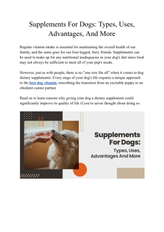 Supplements For Dogs_ Types, Uses, Advantages, And More