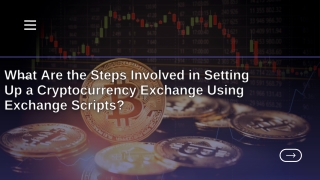 What Are the Steps Involved in Setting Up a Crypto Exchange Using  script ?
