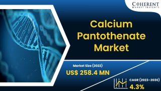 Calcium Pantothenate Market 2023-2030 – Onset of Advanced Technologies to Upsurg