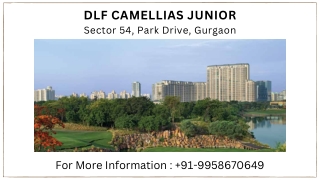 DLF Camellias Junior Pre Launch Price, DLF Camellias Junior Brochure, 9958670649