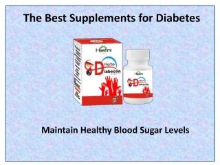 Maintain Healthy Blood Sugar Levels