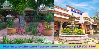 There Is Something For Everyone At These Mexican Eateries In Houston.  BlueAgaveHouston