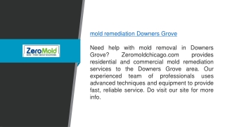 Mold Remediation Downers Grove Zeromoldchicago.com