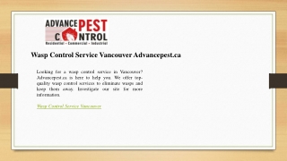 Wasp Control Service Vancouver Advancepest.ca