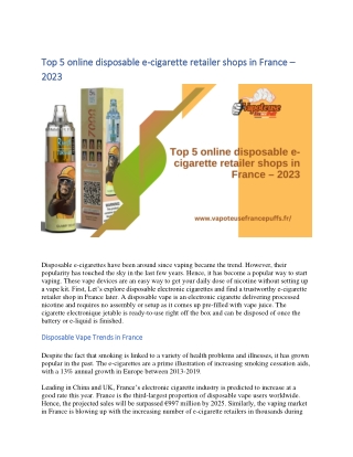 Top 5 online disposable ecigarette retailer shops in France  2023