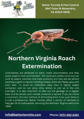 Northern Virginia Roach Extermination | Alexandria Roach Treatement