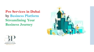 Pro Services in Dubai by Business Platform Streamlining Your Business Journey