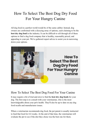 How To Select The Best Dog Dry Food For Your Hungry Canine