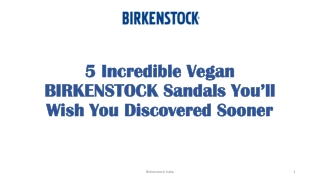 5 Incredible Vegan BIRKENSTOCK Sandals You’ll Wish You Discovered Sooner