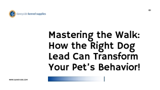 Mastering the Walk How the Right Dog Lead Can Transform Your Pet's Behavior! - Slaneyside Kennels