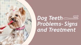 Dog Teeth Problems - Signs and Treatment