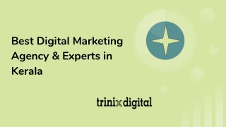 Best Digital Marketing Agency & Experts in Kerala