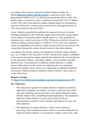 Industrial Sodium Chloride Market Dynamics and Key Growth Opportunities