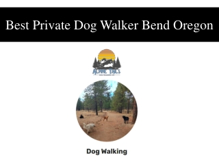 Best Private Dog Walker Bend Oregon