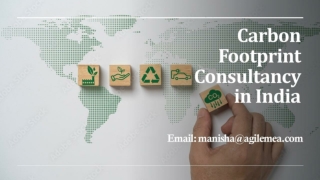 Benefits of hiring Carbon Footprint Consultancy in India