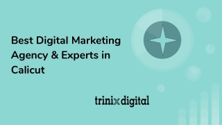 Best Digital Marketing Agency & Experts in Calicut