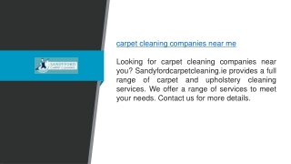 Carpet Cleaning Companies Near Me Sandyfordcarpetcleaning.ie