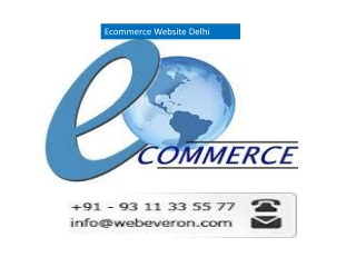 Ecommerce Website Delhi