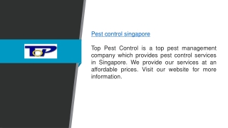 Pest Control Services in Singapore