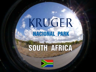 Jizni Afrika - Krugeruv narodni park (Yveta)