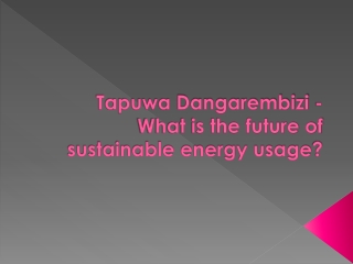 Tapuwa Dangarembizi - What is the future of sustainable energy usage