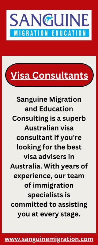 Visa Consultants