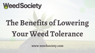 The Benefits of Lowering Your Weed Tolerance