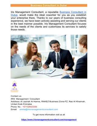 Business Consultant in Dubai