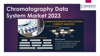 Chromatography Data System Market: Market Size, Share, and Growth Factors