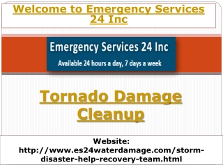 Tornado Damage Cleanup