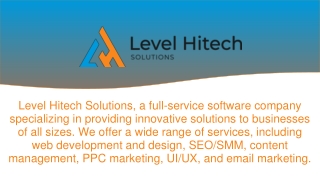 Professional SEO Services - Level Hitech Solutions