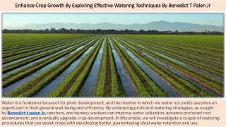 Enhance Crop Growth By Exploring Effective Watering Techniques By Benedict T Pal