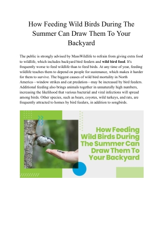 How Feeding Wild Birds During The Summer Can Draw Them To Your Back