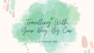 Travelling With Your Dog By Car - Slaneyside Kennels