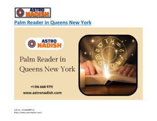 Palm Reader in Queens New York