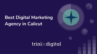 Best Digital Marketing Agency in Calicut | Marketing Experts Kozhikode
