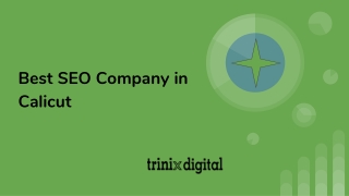 Best SEO Company in Calicut | SEO Specialists Kozhikode