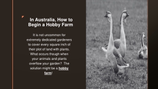 In Australia, How to Begin a Hobby Farm