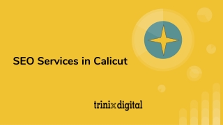 SEO Services in Calicut | SEO Agency Kozhikode