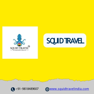 wildlife tour packages in India | Squid Travel