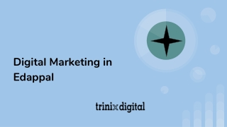 Digital Marketing in Edappal | Marketing Agency