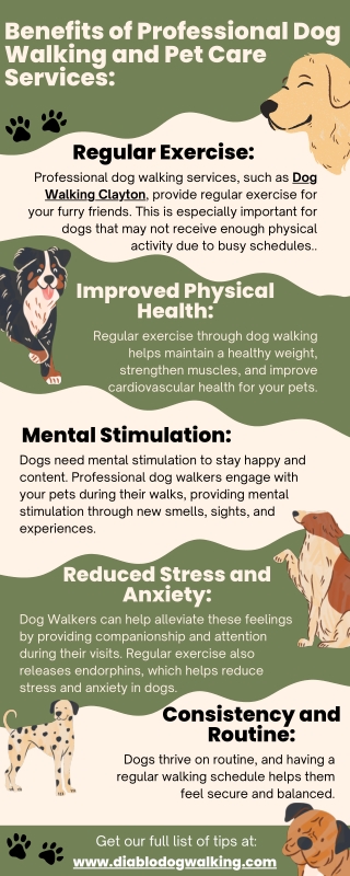 Benefits of Professional Dog Walking and Pet Care Services