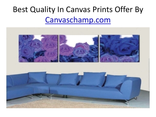 Best Quality Prints Offer By CanvasChamp