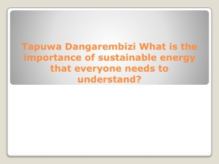 Tapuwa Dangarembizi What is the importance of sustainable energy that everyone needs to understand