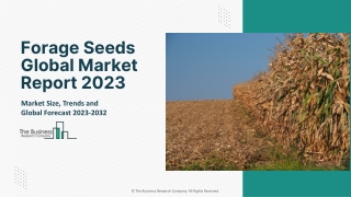 Forage Seeds Market 2023 | Global Industry Analysis Report