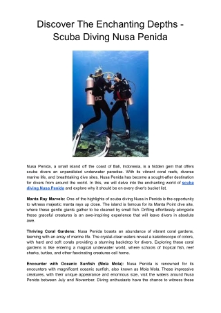 Discover The Enchanting Depths - Scuba Diving Nusa Penida