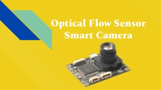 Optical Flow Sensor