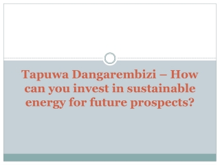 Tapuwa Dangarembizi – How can you invest in sustainable energy for future prospects